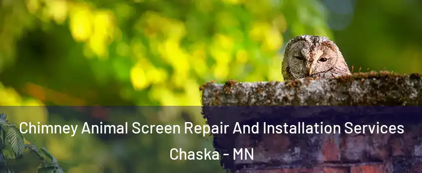  Chimney Animal Screen Repair And Installation Services Chaska - MN