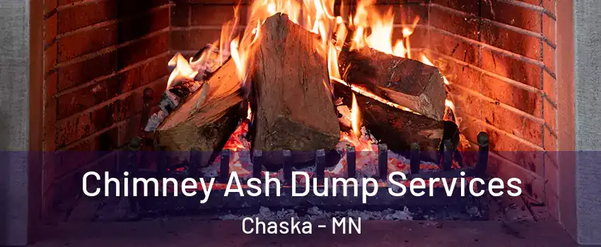  Chimney Ash Dump Services Chaska - MN