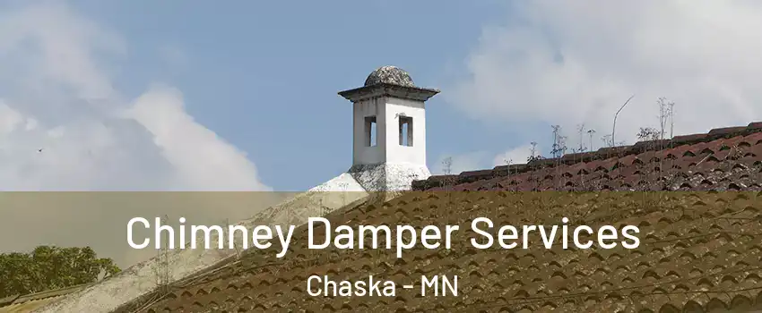  Chimney Damper Services Chaska - MN