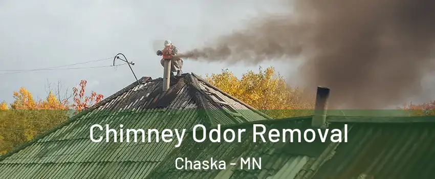  Chimney Odor Removal Chaska - MN