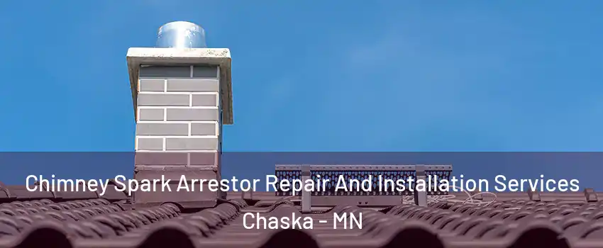  Chimney Spark Arrestor Repair And Installation Services Chaska - MN
