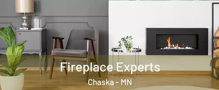  Fireplace Experts Chaska - MN