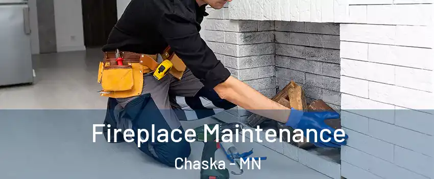  Fireplace Maintenance Chaska - MN