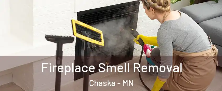  Fireplace Smell Removal Chaska - MN