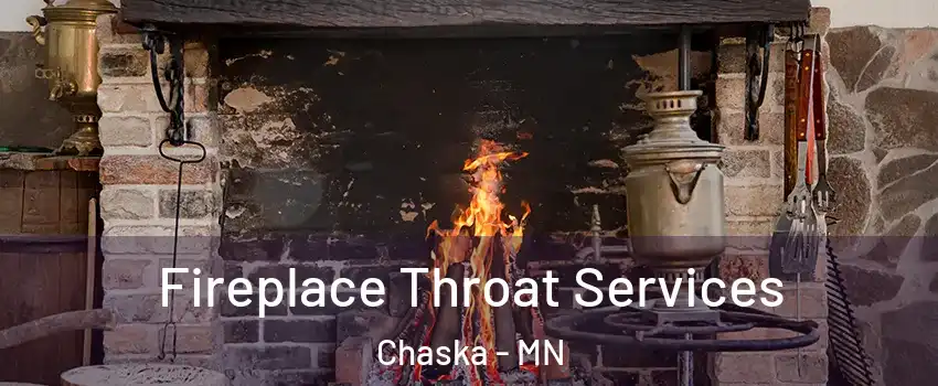  Fireplace Throat Services Chaska - MN