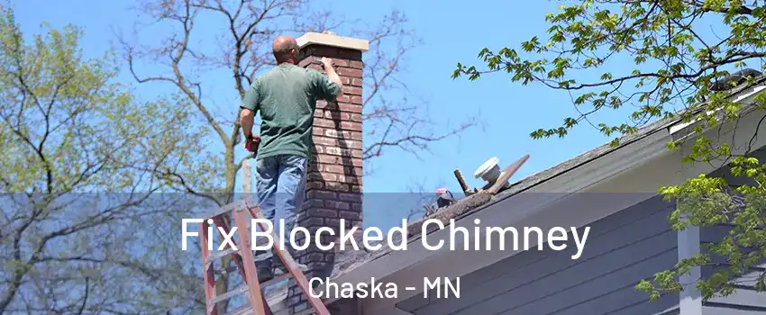  Fix Blocked Chimney Chaska - MN