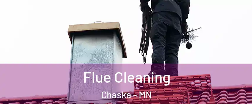  Flue Cleaning Chaska - MN