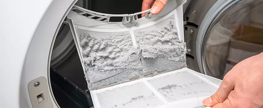 Best Dryer Lint Removal Company in Chaska, Minnesota