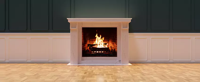 Napoleon Electric Fireplaces Inspection Service in Chaska, Minnesota