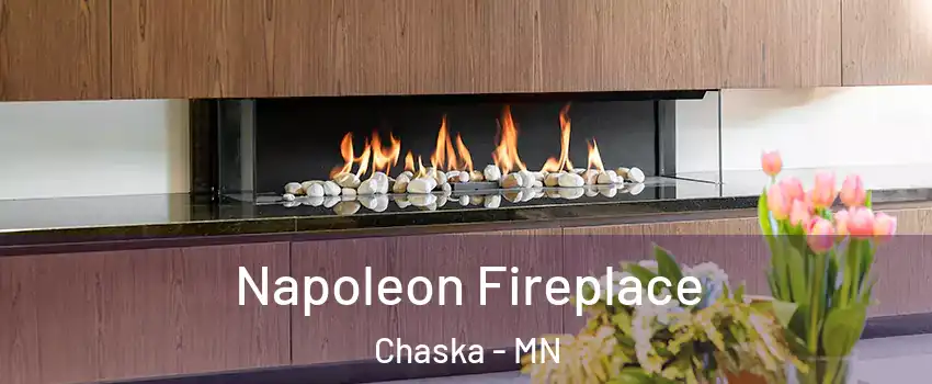  Napoleon Fireplace Chaska - MN