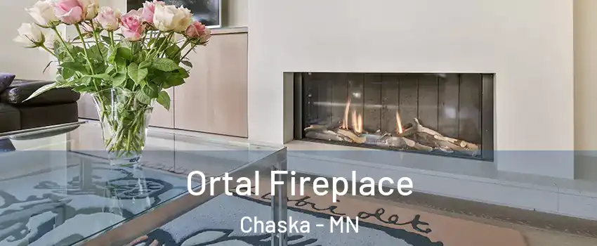 Ortal Fireplace Chaska - MN